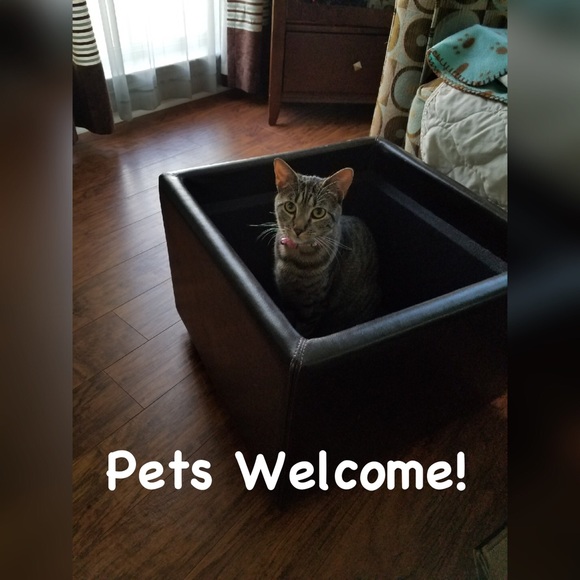 Co-Hosting Poshmark Party 🎉 - Picture 5 of 8